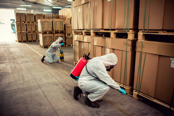 Professional Pest Control in Dry Ridge, OH