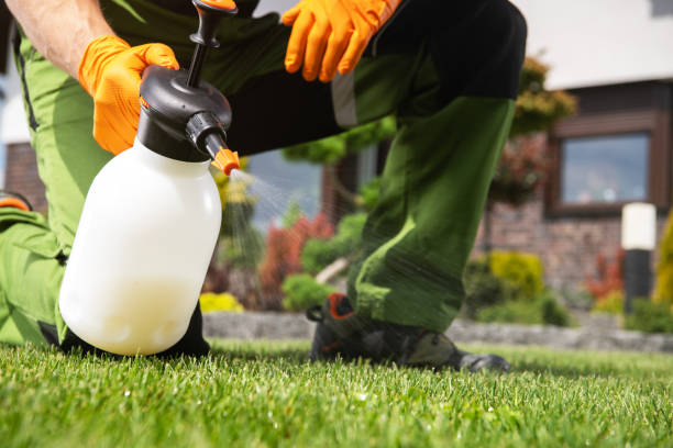 Best Affordable Pest Control Services  in Dry Ridge, OH