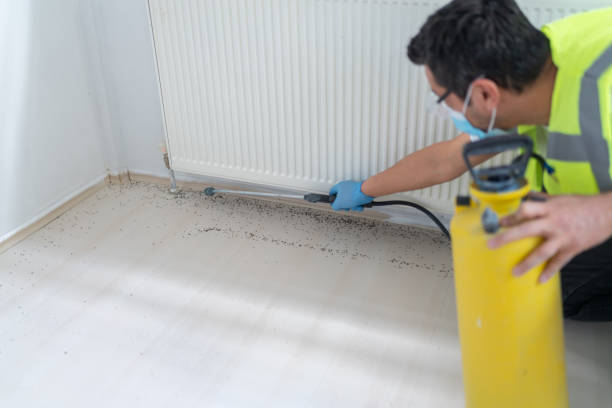 Best Cockroach Control Services  in Dry Ridge, OH