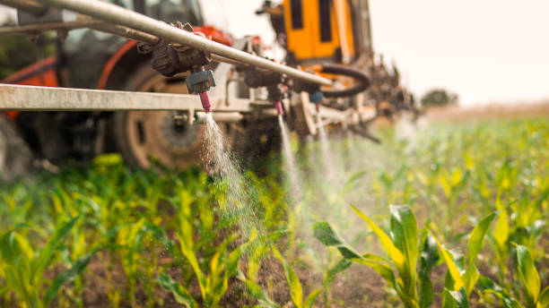 Best Local Pest Control Services  in Dry Ridge, OH